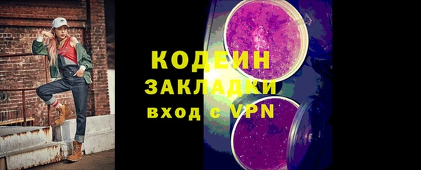 гидра Верхний Тагил