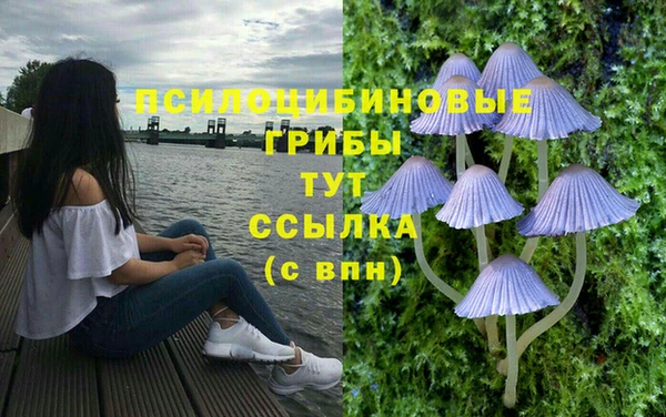 прущая мука Волоколамск