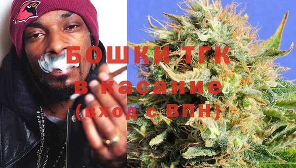 гидра Верхний Тагил