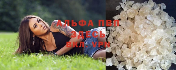 гидра Верхний Тагил